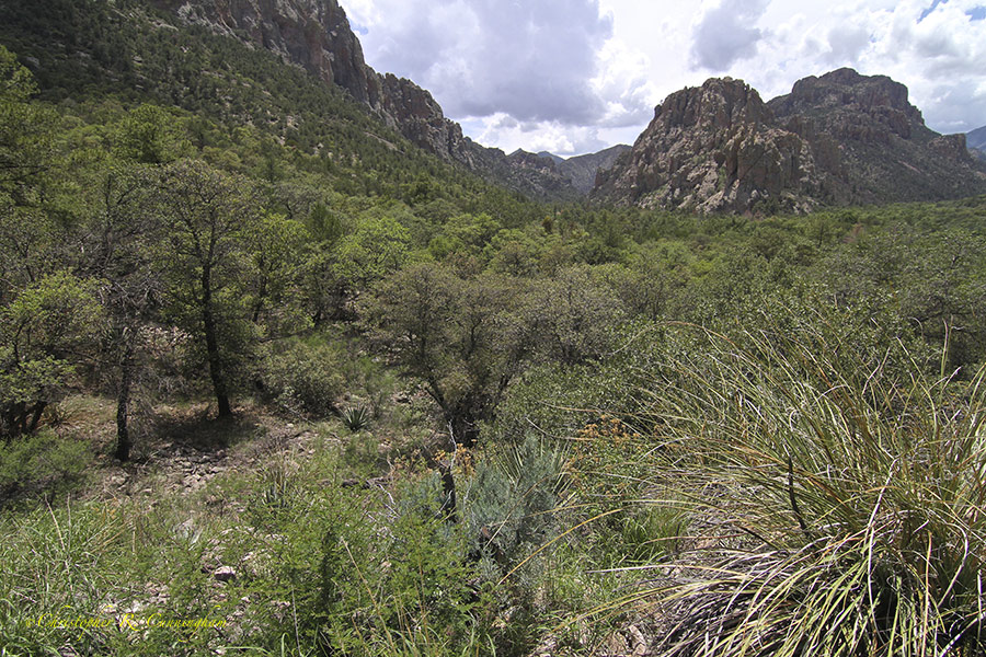 Vista Point, near Cave Creek, Arizona