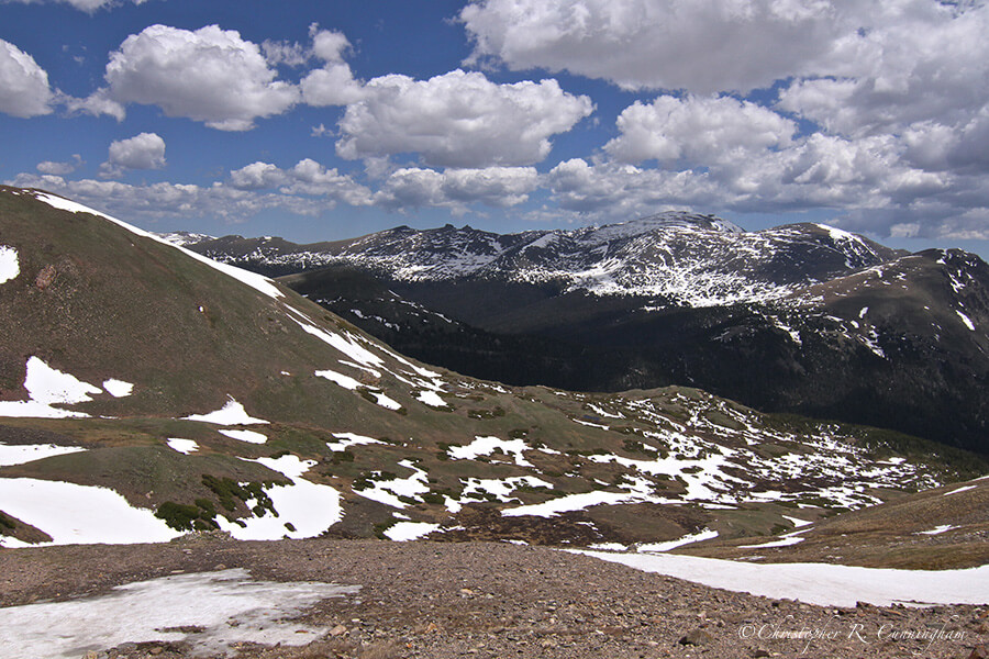 Arctic Tundra near Lava Cliffs, Rocky Mountain National Park, Colorado