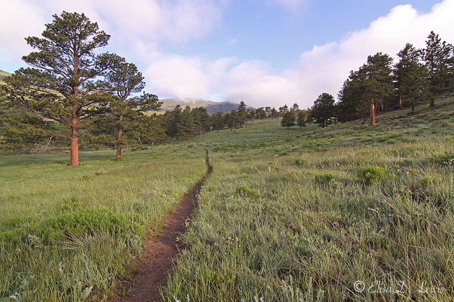 Adventure beckons.