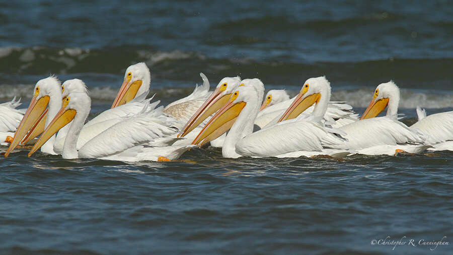 After fishing, East Beach, Galveston Island, Texas