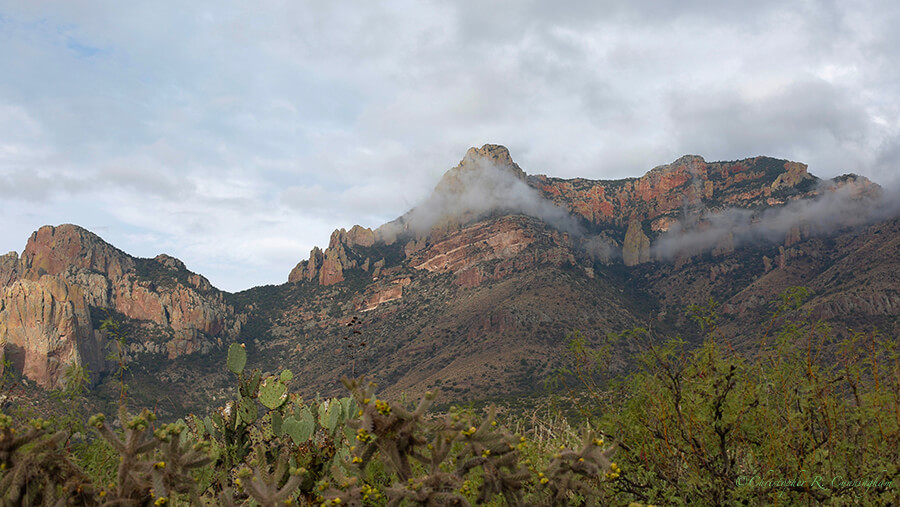 Cave Creek Canyon, Arizona