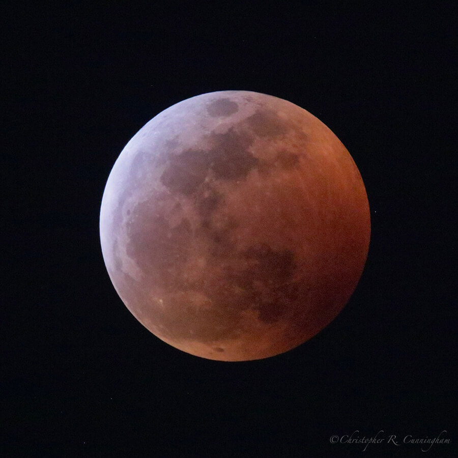 Blood Moon, Houston, Texas 1/20/19