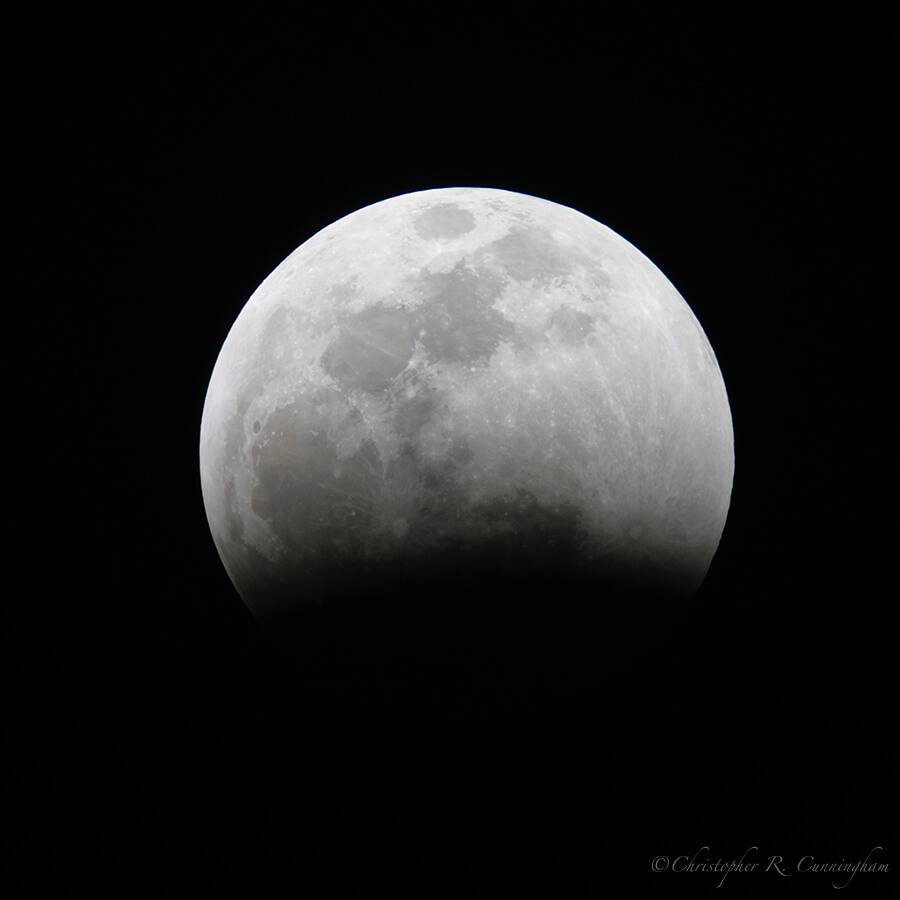 Lunar Eclipse in Progress, Houston 1/20/19